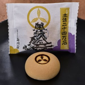 画像: 土佐二十四万石